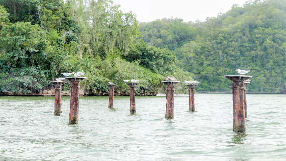 Mangroves, Mogotes and Mountains from Punta Cana - Punta Cana to Los Haitises and Montaña Redonda: How the Day Flows