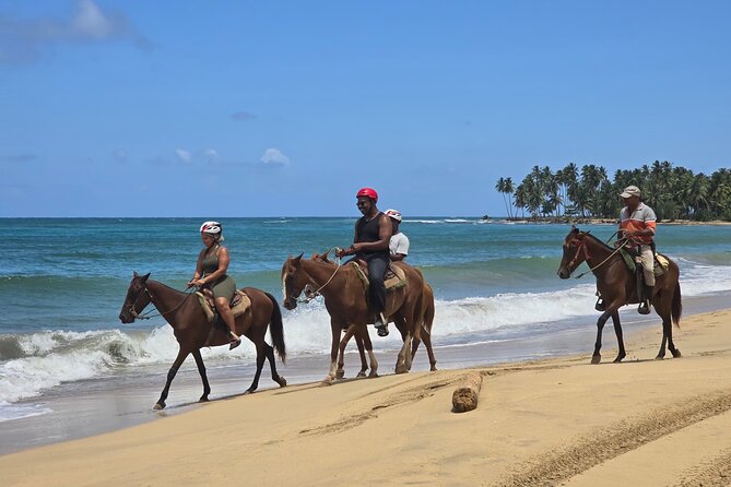 Miches Beach Horseback Riding - Why This Ride Feels Different From a Typical Beach Excursion