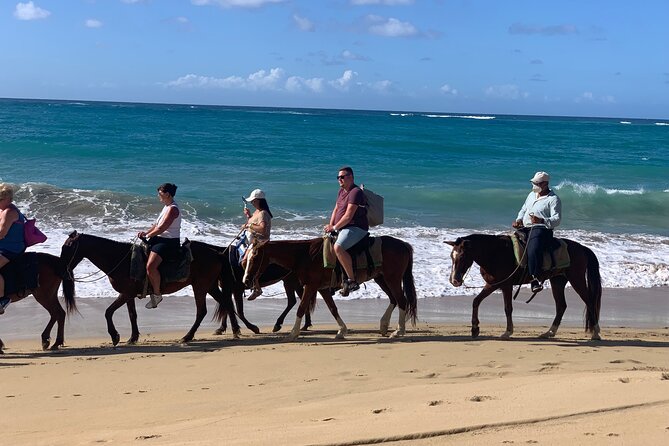 Miches Beach Horseback Riding - Guides and Horses: What to Appreciate and What to Watch