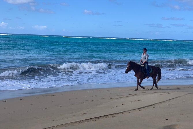 Miches Beach Horseback Riding - Who This Tour Suits Best (and Who Might Skip It)