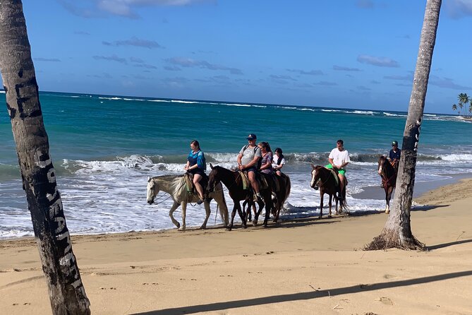 Miches Beach Horseback Riding - What to Bring for a Beach Ride in Miches Heat