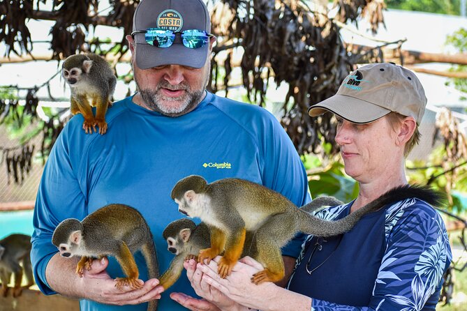 Monkey Encounter and Zip Line Tour from Amber Cove and Taino Bay - The Dominican Lunch Break: Rice, Beans, Chicken, and That Plantain Crunch