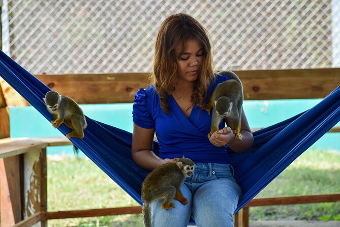 Monkey Encounter and Zip Line Tour from Amber Cove and Taino Bay - Water, Extra Costs, and the Small Stuff That Can Make or Break the Day