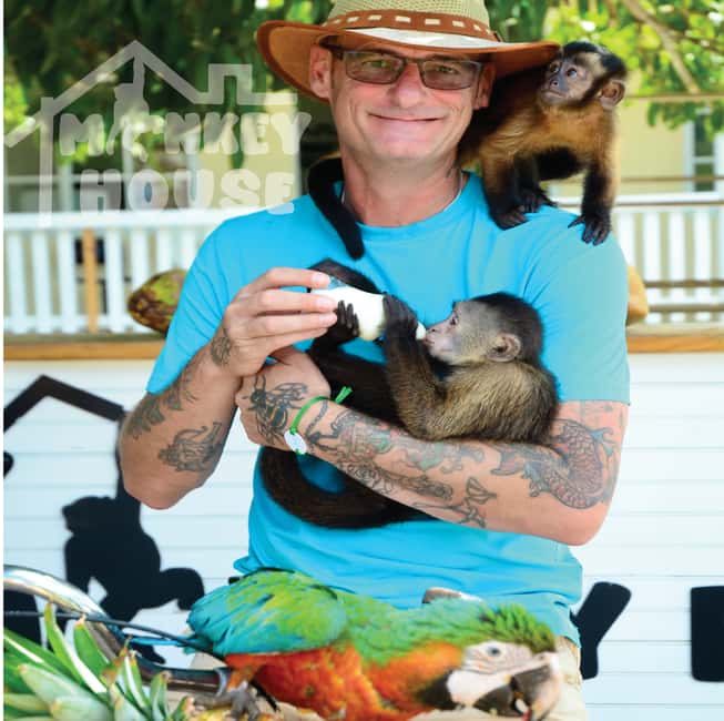 Monkey House VIP – An exclusive experience in Punta Cana - The 150-Minute Flow: Pickup, Monkey Time, and Back Again