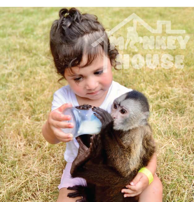 Monkey House VIP – An exclusive experience in Punta Cana - Guided Tour + Self-Guided Time: The Sweet Spot for Most People