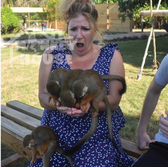 Monkey House VIP – An exclusive experience in Punta Cana - VIP Admission: Why Skipping the Line Matters