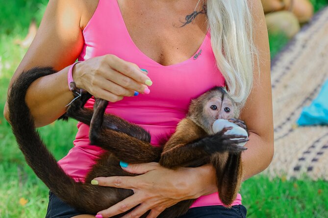 Monkey House VIP Experience with 4 species of monkeys, Punta Cana - Key highlights you’ll notice fast