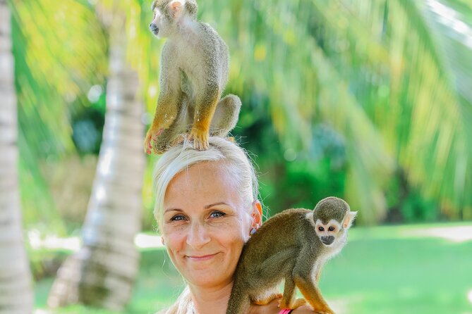 Monkey House VIP Experience with 4 species of monkeys, Punta Cana - Pickup, phones, and the day-of details that can make or break it