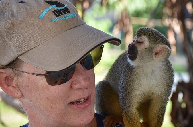 Monkey Mania Puerto Plata - Who should book Monkey Mania Puerto Plata