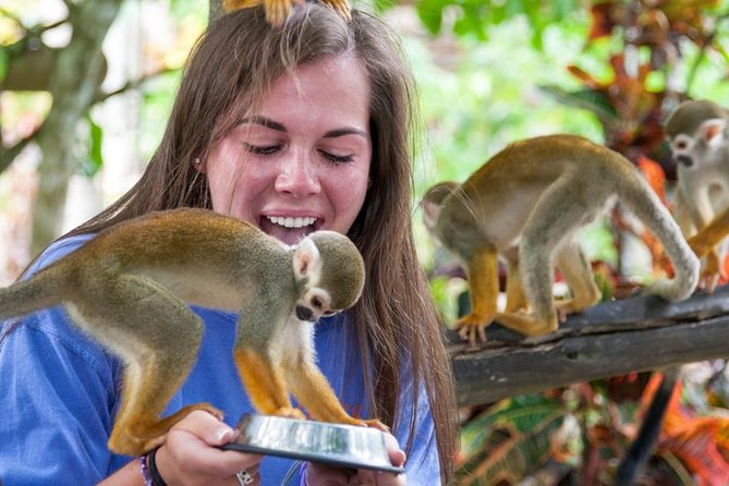 Monkeyland and Plantation Safari from La Romana - A practical day trip from La Romana that mixes animals and countryside