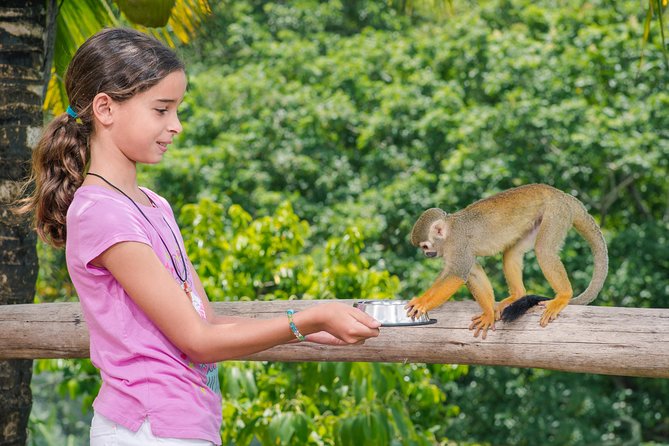 Monkeyland and Plantation Safari from La Romana - The safari truck rides: views, motion, and managing mess