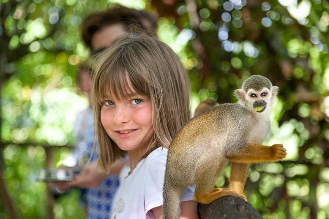 Monkeyland and Plantation Safari from La Romana - Price and value: why $95 can work (or not)