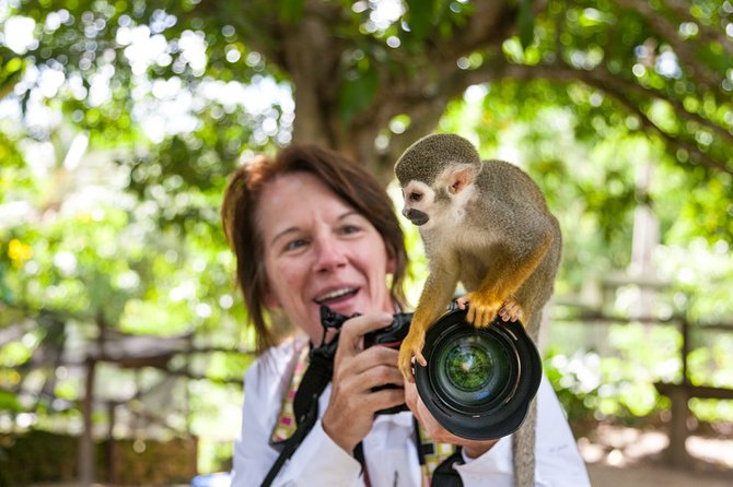 Monkeyland and Plantation Safari Tour from Punta Cana - Monkeyland’s Botanical Garden: The Plants You Can’t Zoom Past