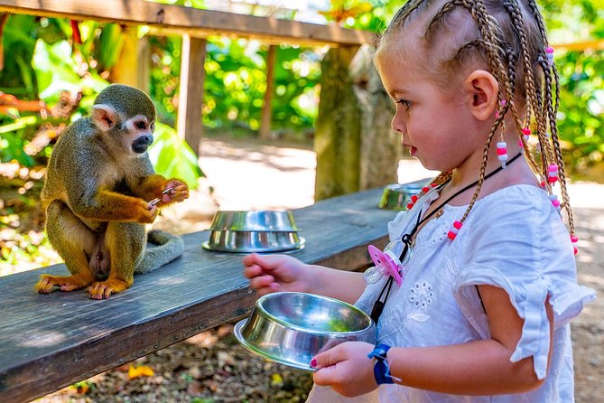 Monkeyland & Plantation Safari Full Day from Juan Dolio - Getting to Monkeyland: transport, timing, and what the day feels like