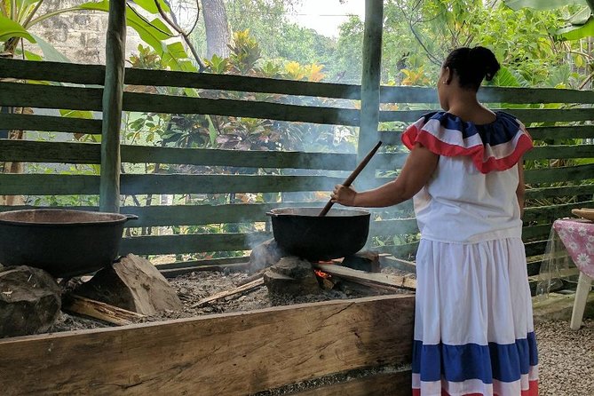 Monkeyland & Plantation Safari Full Day from Juan Dolio - Who this tour suits best (and who should skip)