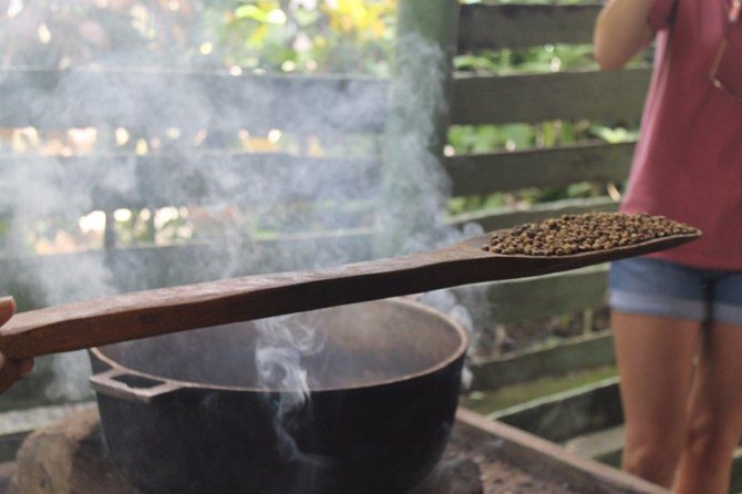 Monkeyland & Plantation Safari Full Day from Juan Dolio - Tips for a smoother day from Juan Dolio and beyond
