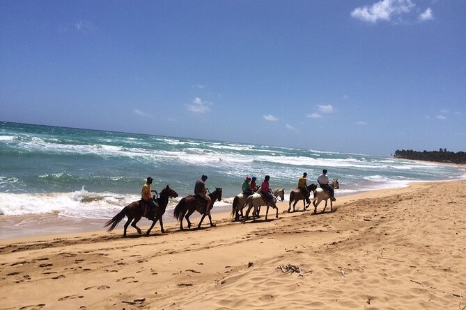 Montaña Redonda & Horseback Riding 2-in-1 Tour from Punta Cana - Playa Limon: a quieter finish with horseback riding on a deserted shore