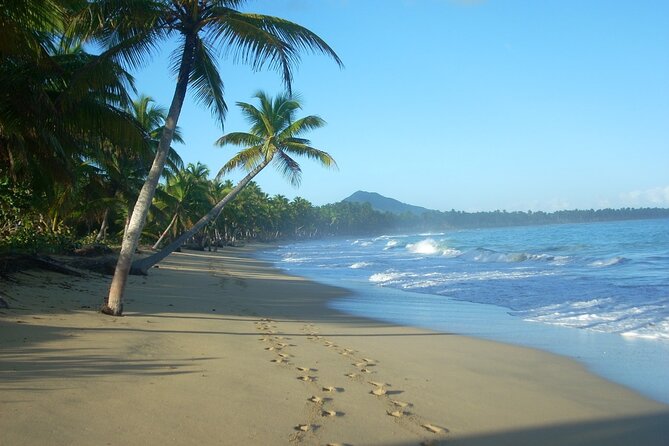 Montaña Redonda & Horseback Riding 2-in-1 Tour from Punta Cana - Price and value: $237 per person for two major experiences plus lunch