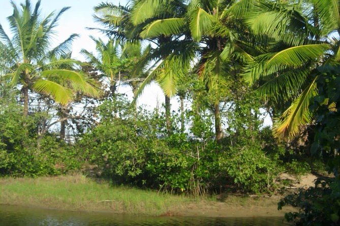 mountain horse back riding - Mountain Horseback Riding Above Puerto Plata: What It Feels Like