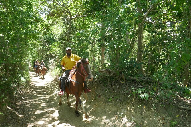 mountain horse back riding - Price and Value: Is $69 Worth It?
