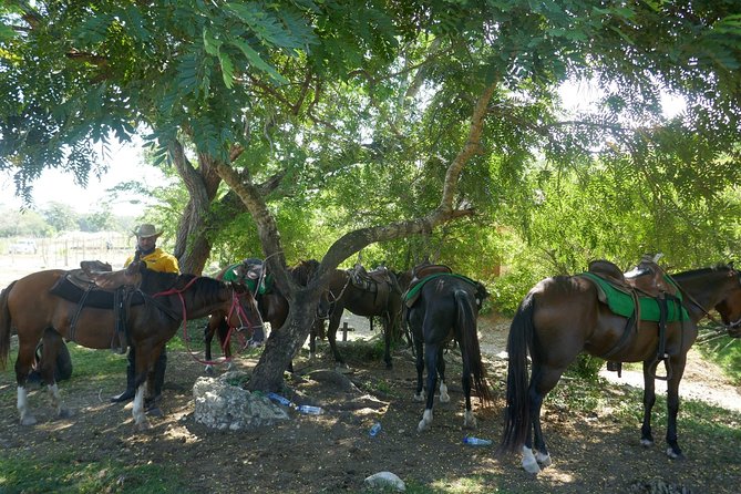 mountain horse back riding - Pickup Rules: Where You’ll Be Collected (and Where You Won’t)