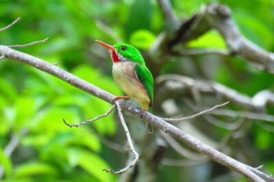 National Park of the East Private Hiking Tour with Swimming - Bayahibe: home-cooked Dominican lunch and a quick town taste