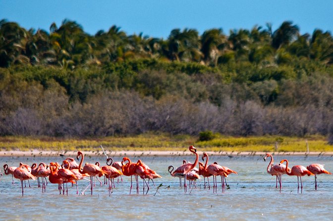 Nature Combo Oviedo Lagoon & Bahia de las Aguilas - Why This Jaragua National Park Combo Works So Well