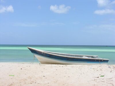 Nature Combo Oviedo Lagoon & Bahia de las Aguilas - Getting There: An Early Start and a Long Day Reality Check