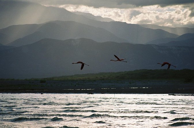 Nature Combo Oviedo Lagoon & Bahia de las Aguilas - What’s Included (and What You’ll Need to Bring)