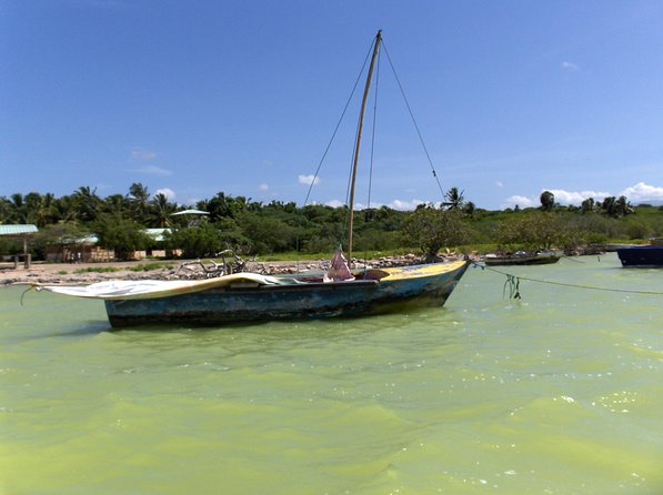 Nature Combo Oviedo Lagoon & Bahia de las Aguilas - Price and Value: Does $295 Buy You Real Convenience?