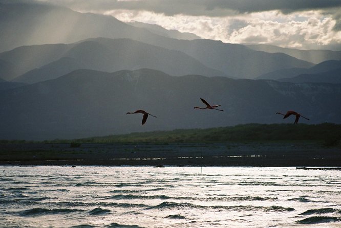 Nature Combo Oviedo Lagoon & Bahia de las Aguilas - Who This Tour Suits Best (and Who Should Think Twice)