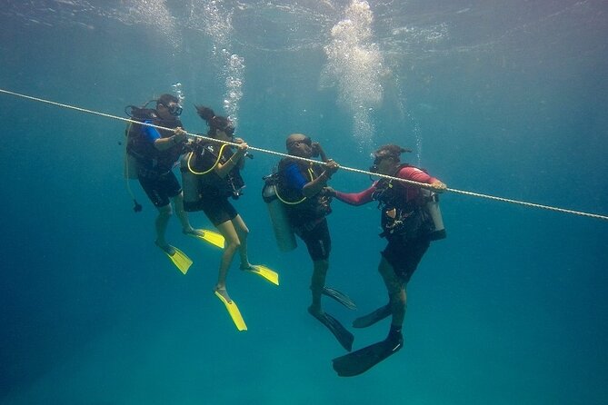 Open Water Diver - Bávaro - Key highlights before you book