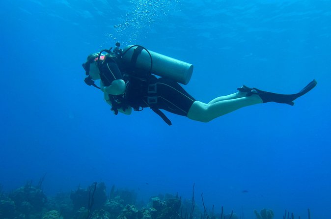 Open Water Diver - Bávaro - Who the instructors seem to be best for: beginners who want structure