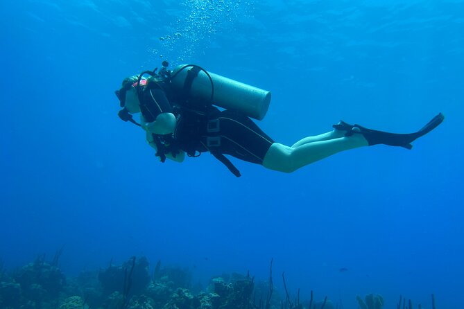 Open Water Diver - Bávaro - When this course can feel stressful: organization and day-of comfort