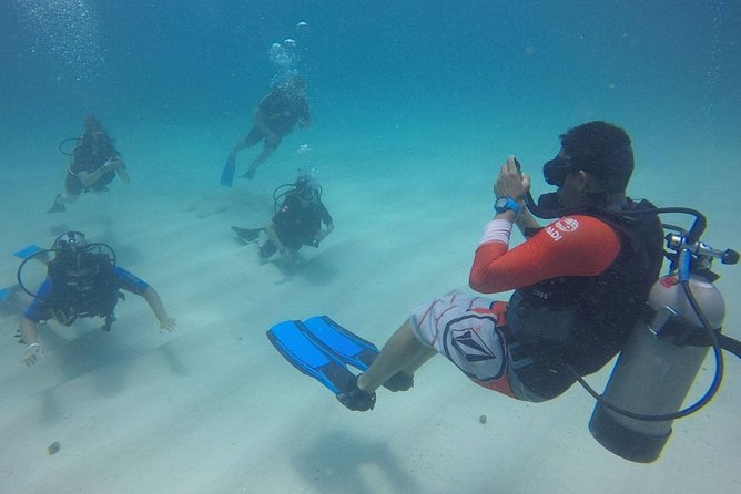 Open Water Diver - Bávaro - Price and value at $460 per person (and what it includes)
