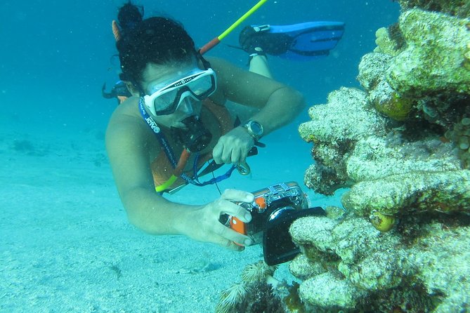 PACKAGE DEAL Catamaran- Snorkeling - Hooka Diving - Parasailing - Price and value: is $140 per person a fair deal?