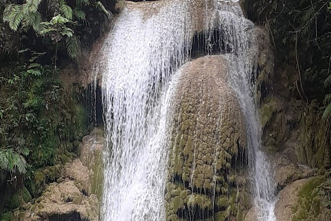 Parada Maria y Miguel and the Limón Waterfall Tour from Samana - What you’ll see on the way: wildlife, dry tropical forest, and photo angles