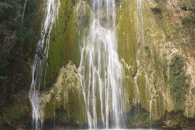 Parada Maria y Miguel and the Limón Waterfall Tour from Samana - Price and value: $80 per person for an active El Limón day