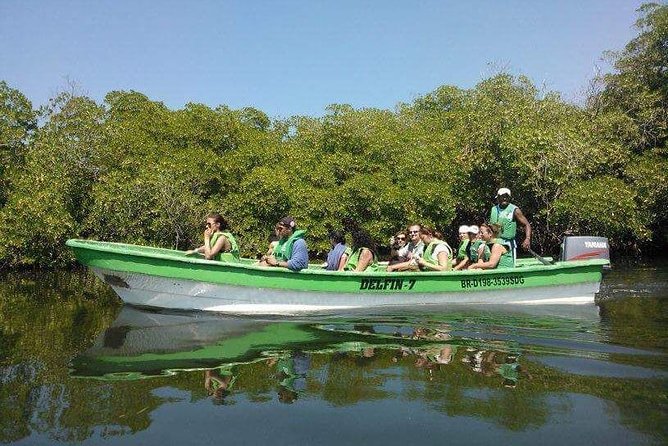 Paradise Island Cayo Arena & Mangroves from Puerto Plata (Full Day) - Nature time around mangroves and birds: what to watch for