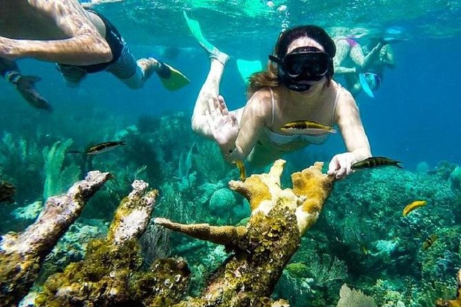 Paradise Island Cayo Arena & Mangroves from Puerto Plata (Full Day) - Lunch and drinks included: what you should expect (and what you won’t get)