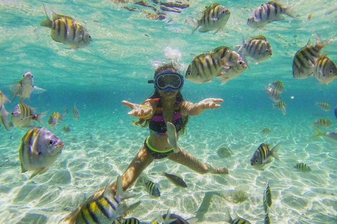 Paradise Island Cayo Arena & Mangroves from Puerto Plata (Full Day) - Group size and the crowd reality near reefs