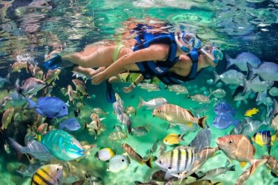 Party Boat - Booze Cruise Punta Cana - Snorkeling The Coral Reef: How To Make 30 Minutes Count