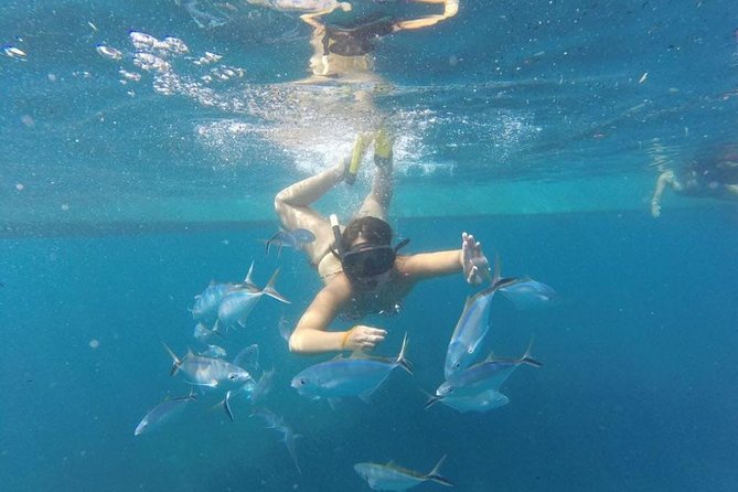 Party boat in Catamaran with Open Bar Only Adults + Snorkeling - Cruising Along Bavaro’s Coast: The Views You Actually Get