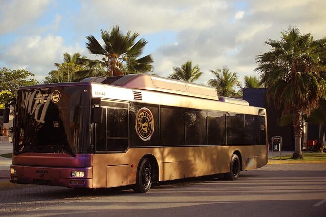 Party Bus Rental - Key highlights worth factoring in