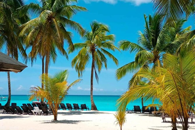 Perfect Day at Saona Island by Speedboat - Completely Private - Punta Cana to Saona: what the private speedboat day really buys you