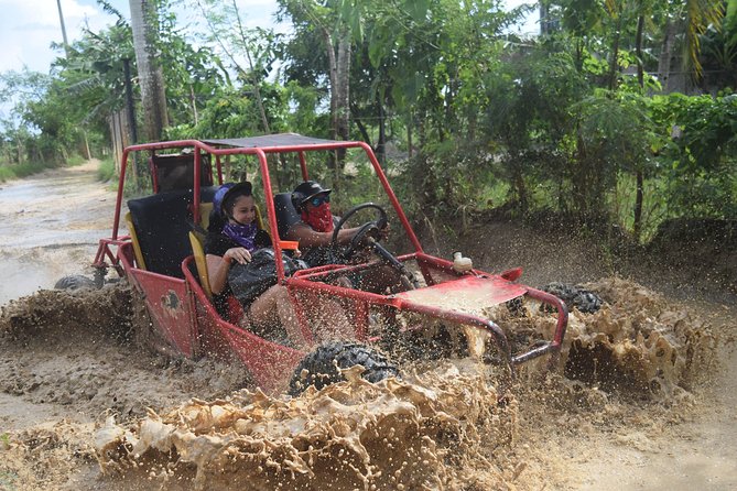 Platinum Buggy Adventure - Key Points Before You Go