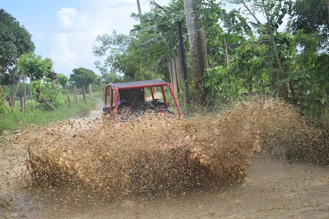 Platinum Buggy Adventure - What’s Included in the $65 Price (and Why It Feels Fair)