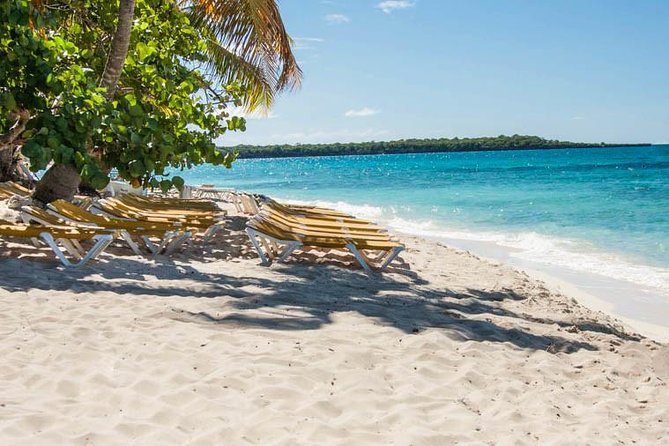 Platinum Catalina Island and Chavon River - Practical tips so the day feels easy, not rushed