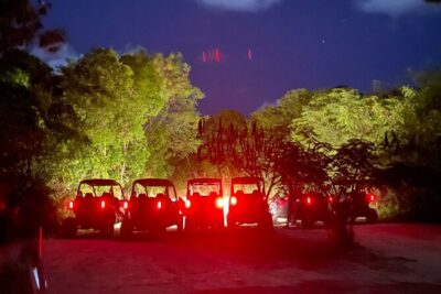 Polaris At Night, Waterfall Pool + Surf & Turf Dinner - Getting there: 6:00 pm timing, shared transfers, and what “4 hours” means