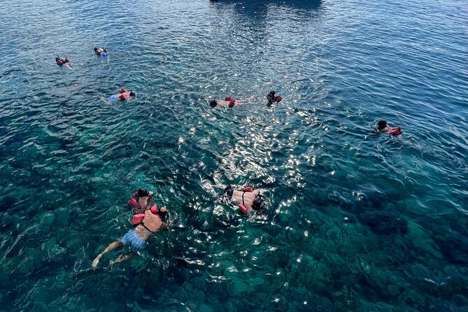 Premium Party Boat in Bávaro - Punta Cana - Snorkeling time with gear included (and support for real beginners)